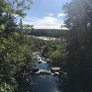 Meet your Posher, Arielle